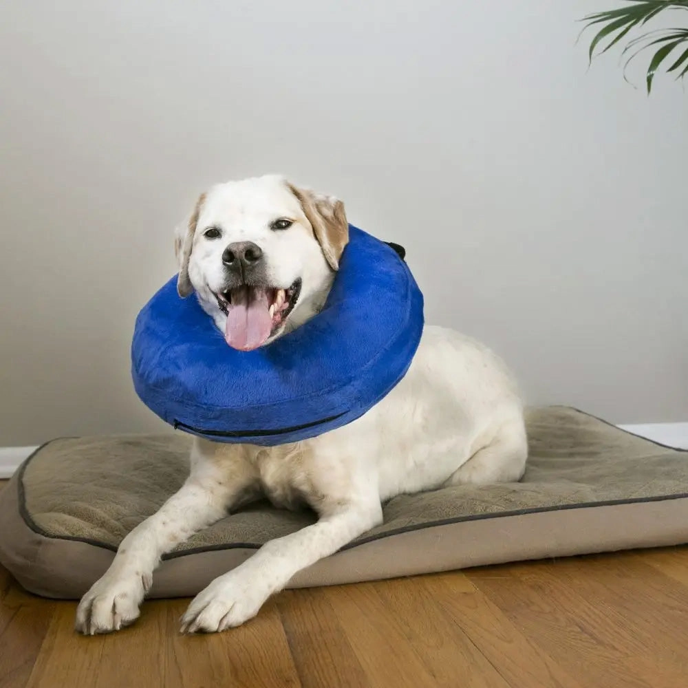 Kong Cloud Collar S (EL3)