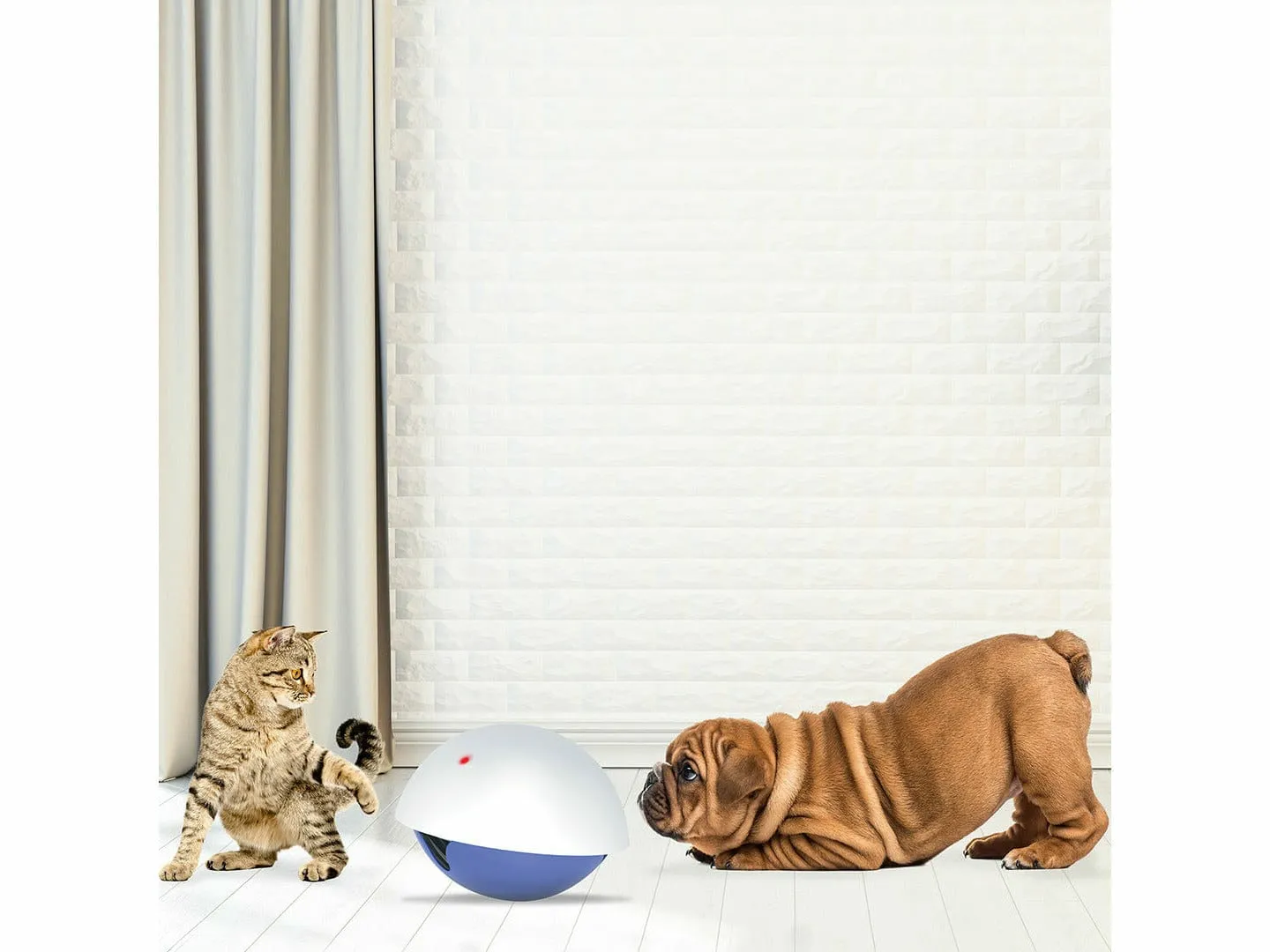 LASER `N SNACK TOY 19x19x15cm white/blue