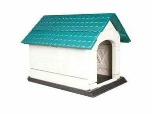 LOFT DOG HOUSE M WHITE & GREEN