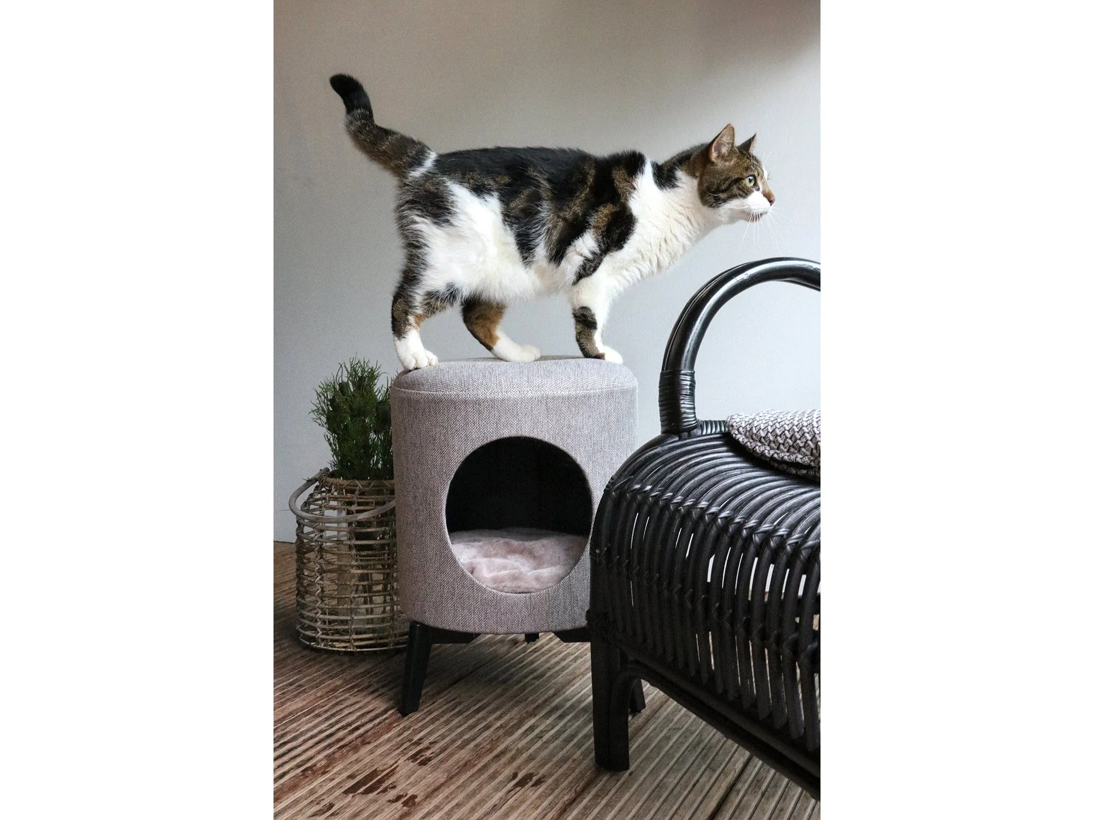 Louis Cat House 35X35X46Cm Taupe