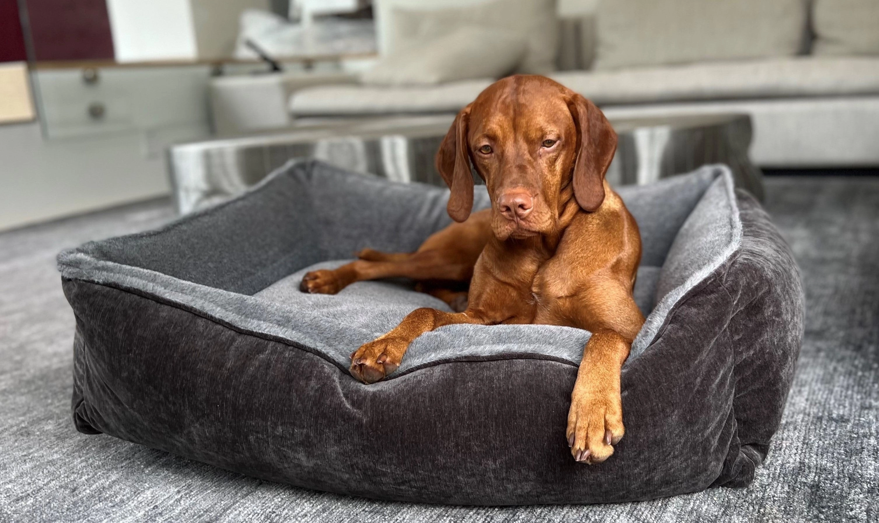Lounge Bed | Otter Faux Fur