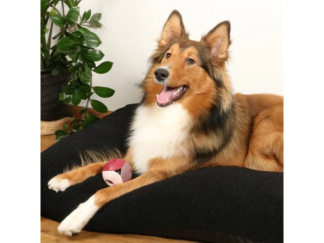 Luca Rosewood Dog Toy Pink