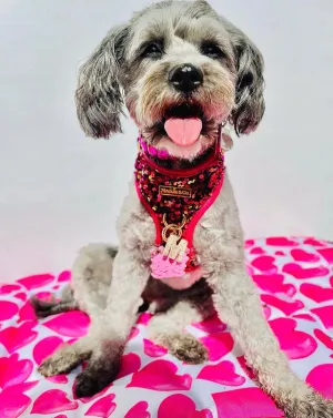 Maggie And Co. Cathryn Sequin Harness