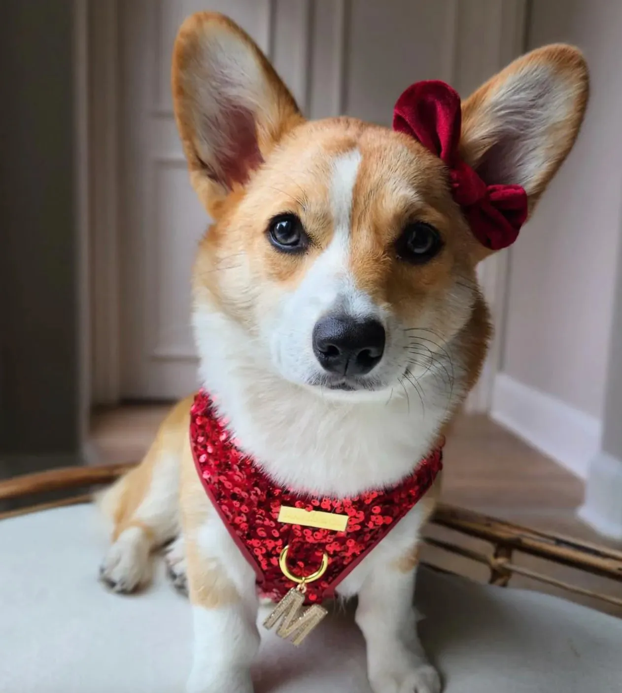Maggie And Co. Pepper Sequin Harness