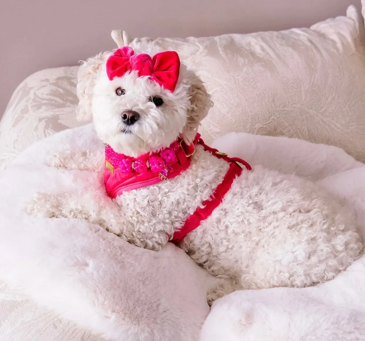 Maggie and Co. Velvet Collection: The Bombshell Harness