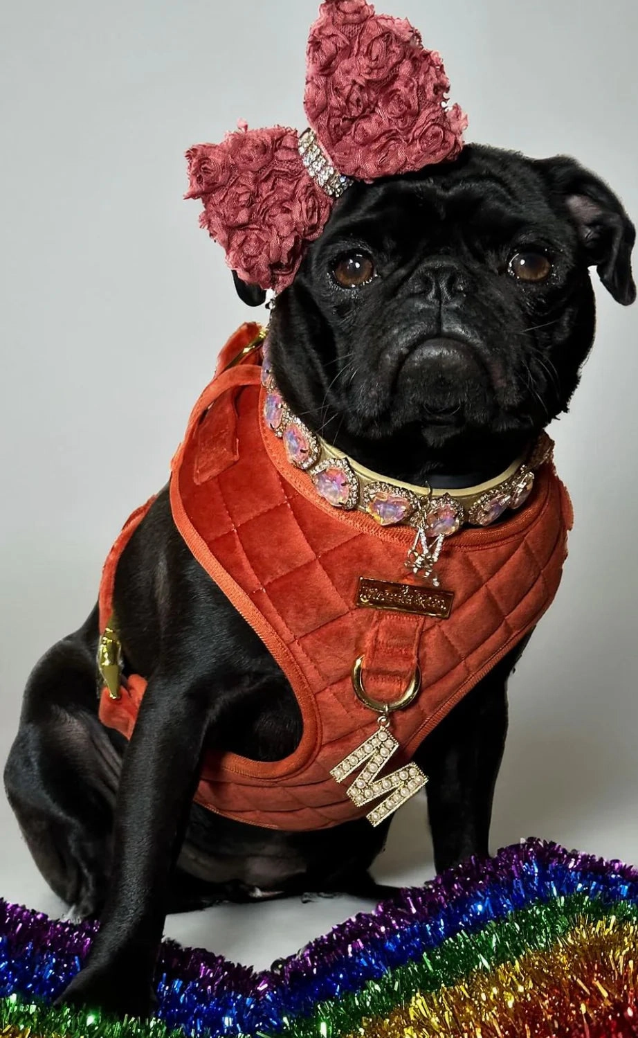 Maggie and Co. Velvet Collection: The Sandstone