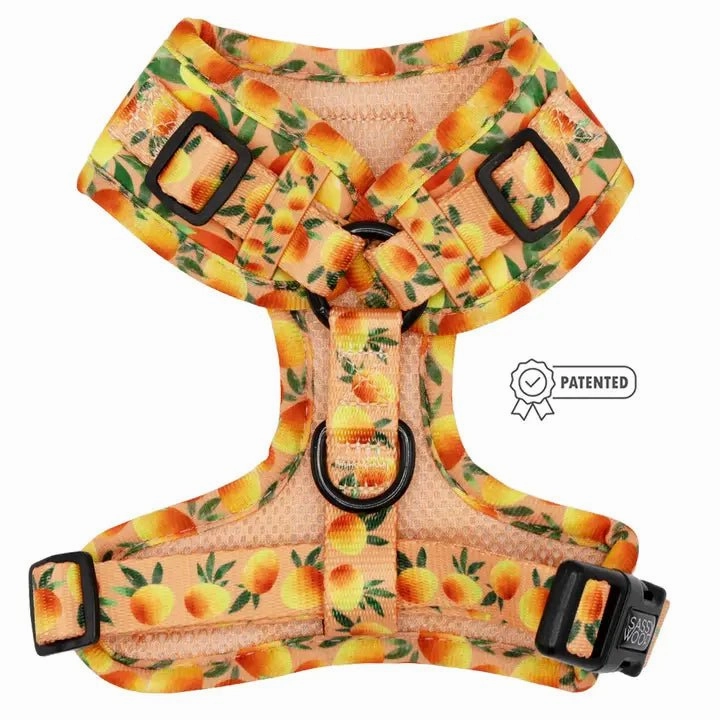 Mango Tango Adjustable Harness
