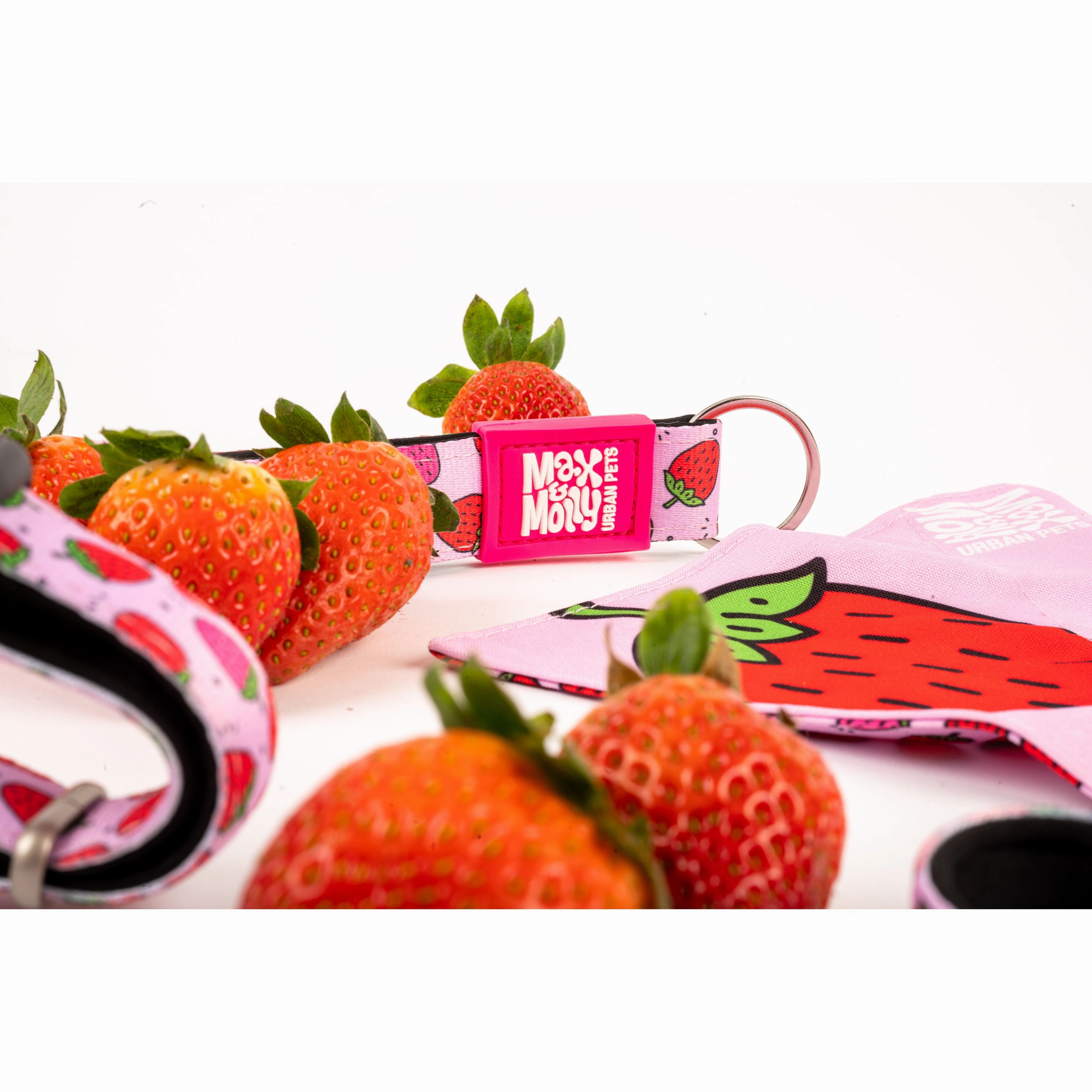 Max & Molly Strawberry Dream Smart ID Dog Collar Large