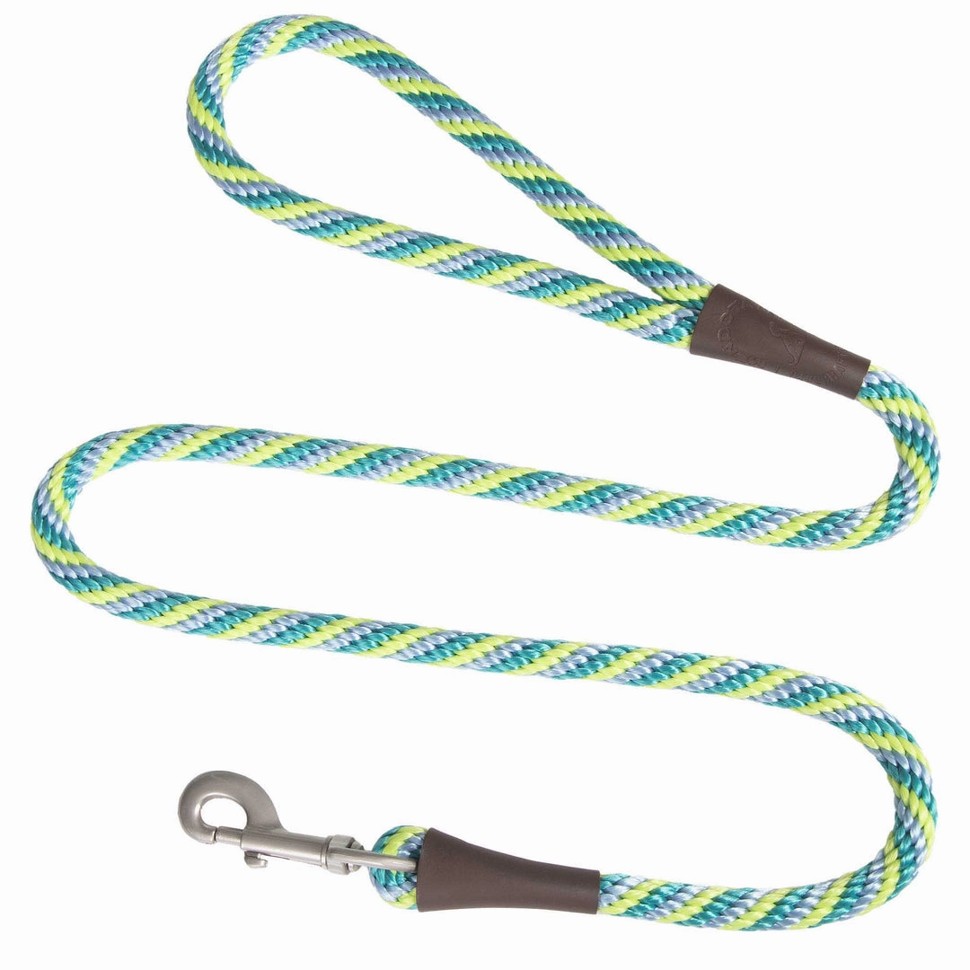 Mendota Snap Leash Large Dog Lead in Seafoam