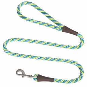 Mendota Snap Leash Large Dog Lead in Seafoam
