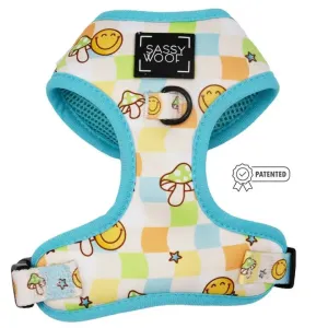 Mush Love Adjustable Dog Harness