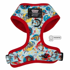Nickelodeon Looney Tunes Blue