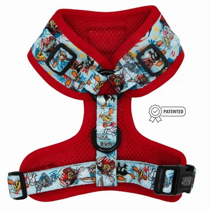 Nickelodeon Looney Tunes Blue
