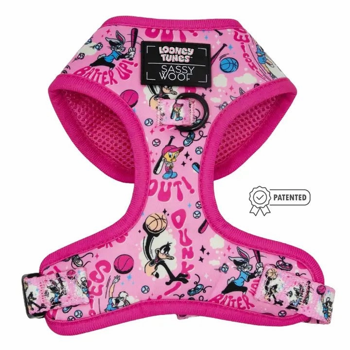 Nickelodeon Looney Tunes Pink