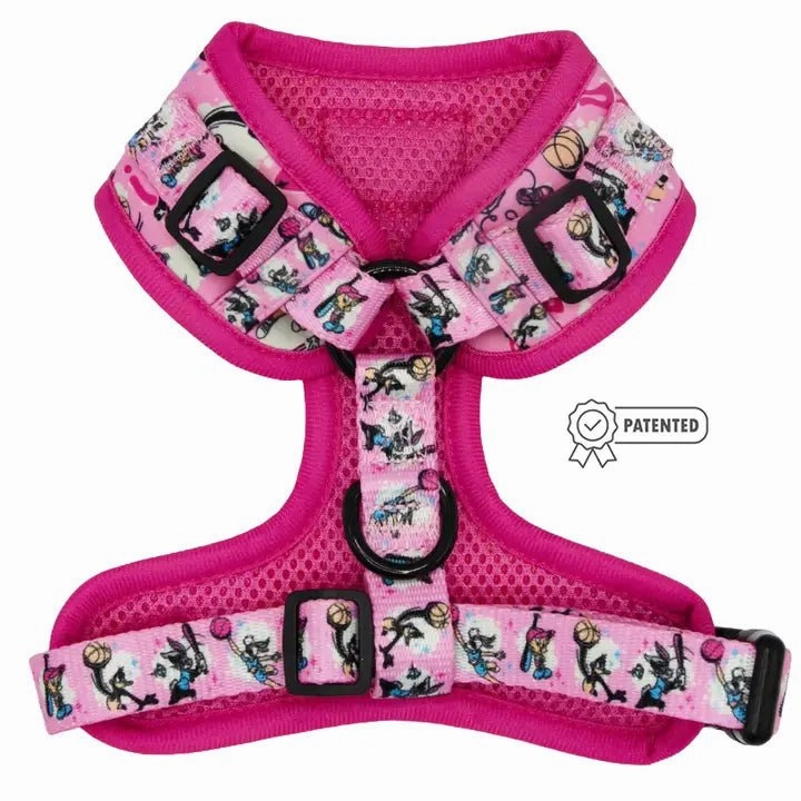 Nickelodeon Looney Tunes Pink
