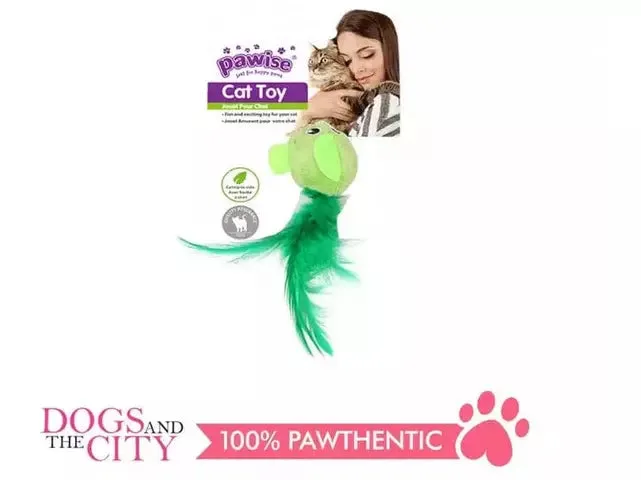 PAWISE Bird Cat Toy