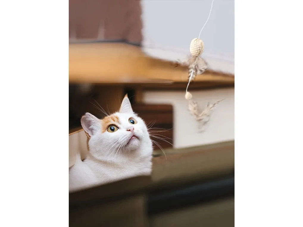 PAWISE  nature first cat toy 35.5x9.5cm