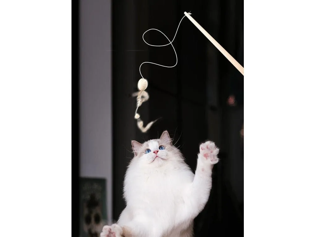 PAWISE  nature first cat toy 35.5x9.5cm