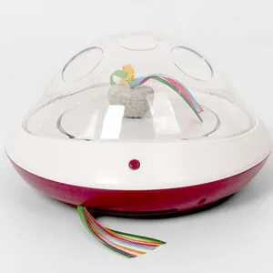 PAWISE  PEEK-N-PLAY