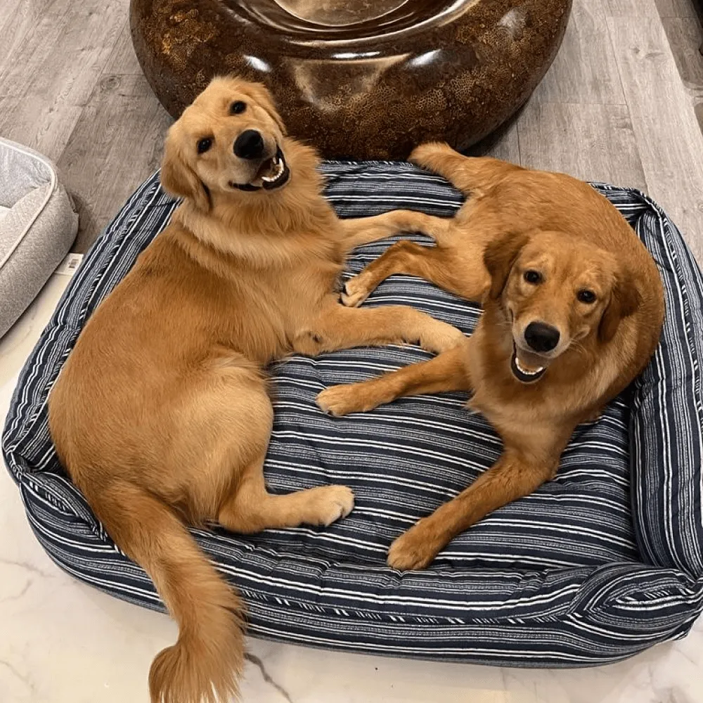 Pawpourri Striped Cuddler Bed for Dogs and Cats (Blue Stripe)
