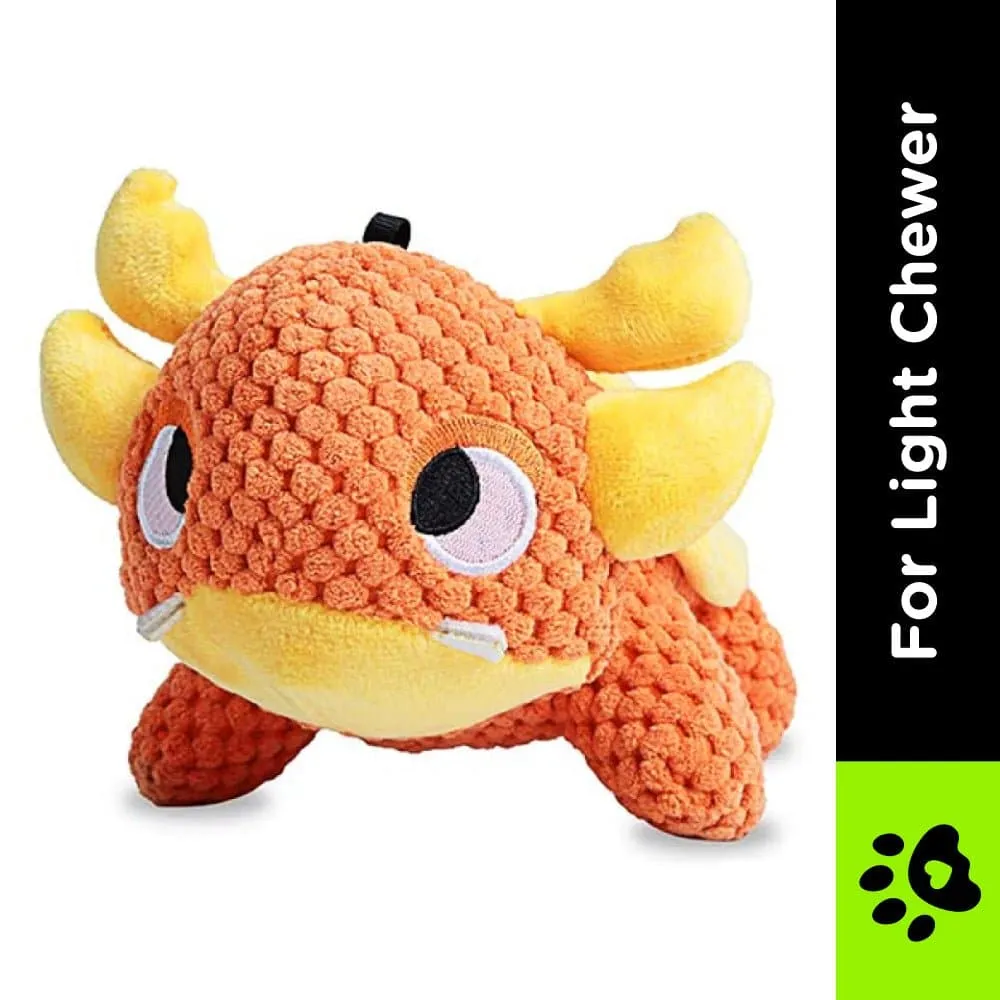 Pawsindia Drogo the Turtle Toy for Dogs