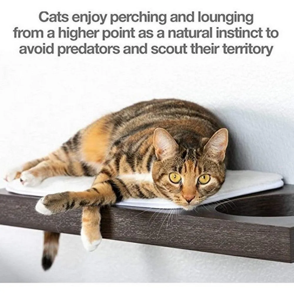 PetFusion Wall Activity Shelves - CLEARANCE