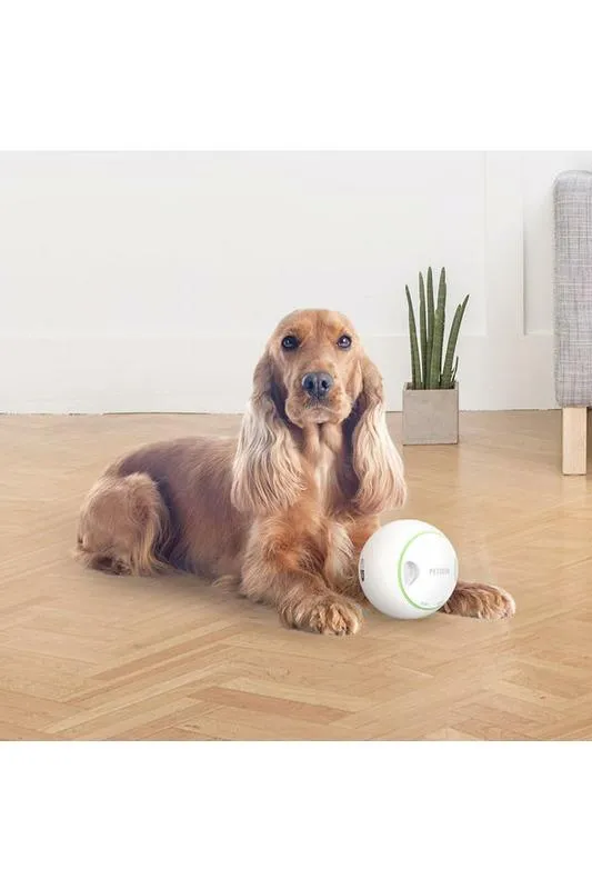 PetGeek Foodie Orb  Automatic Rolling Treat Ball