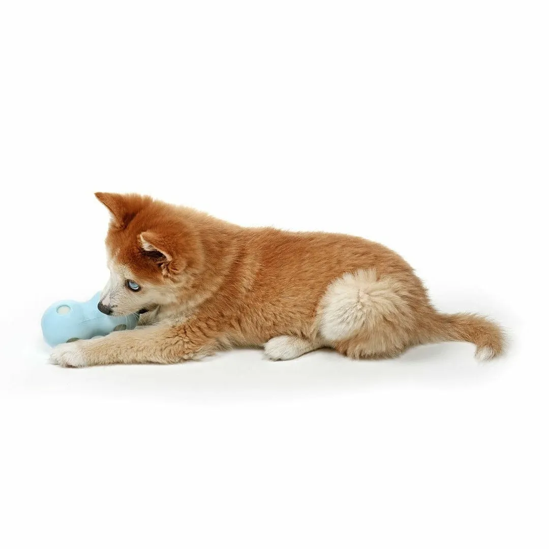 PETIT WATER CHEW TOY COCO 12x6x6cm blue