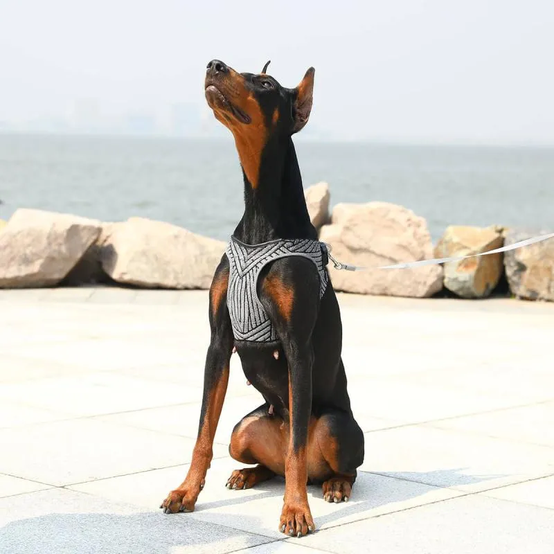 Petkit - Air Fly Harness for Dog