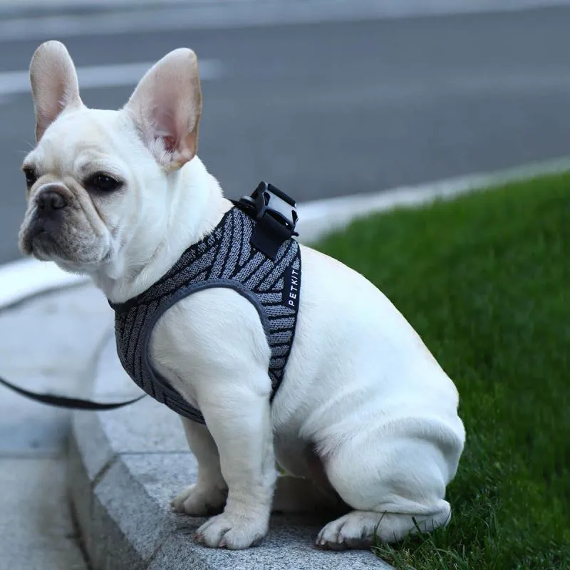Petkit - Air Fly Harness for Dog