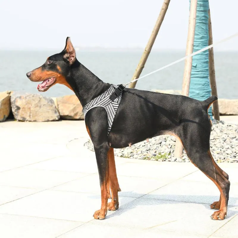 Petkit - Air Fly Harness for Dog