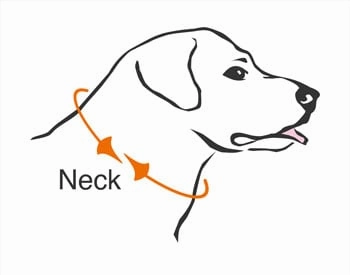 Petsafe Gentle Leader Quick Release Red Headcollar for Dogs