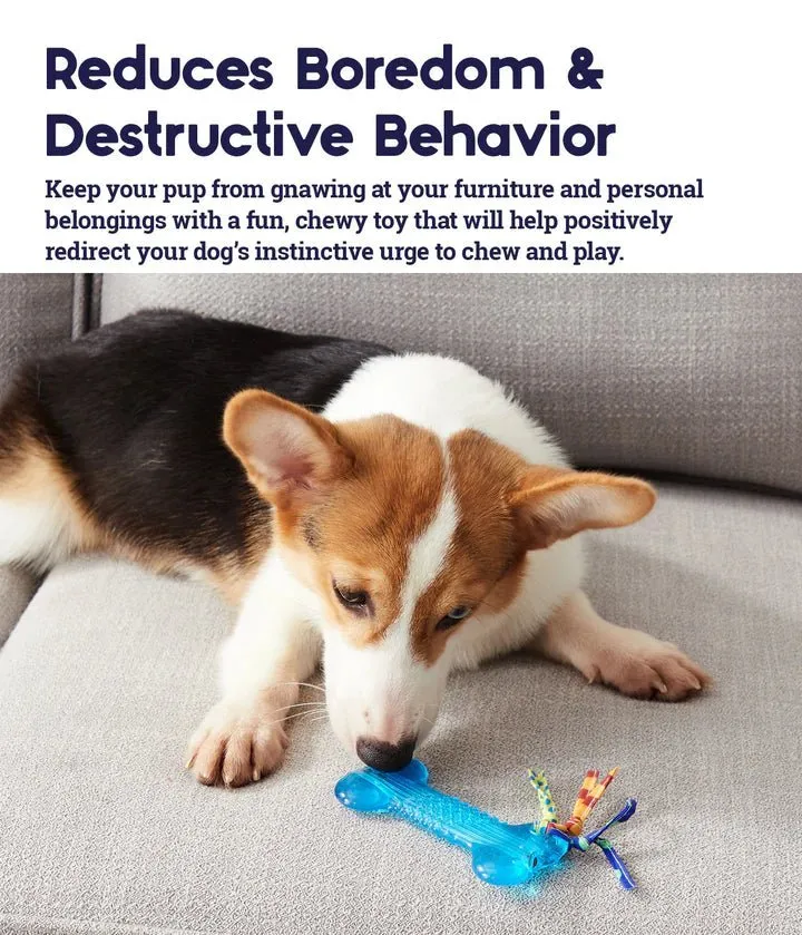 Petstages Orka Mini Bone Royal Blue Dog Chew Toy - Small