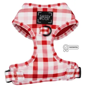 Picnic Fur Two Adjustable Dog Harness