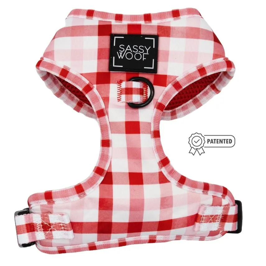 Picnic Fur Two Adjustable Dog Harness