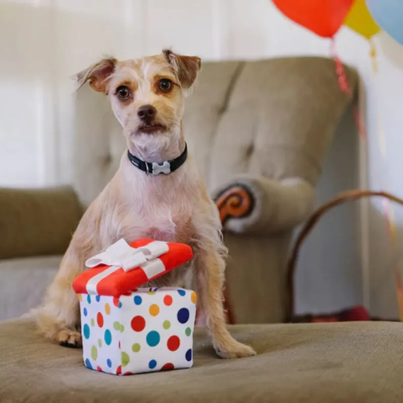 P.L.A.Y. -  Party Time - Pawfert Present