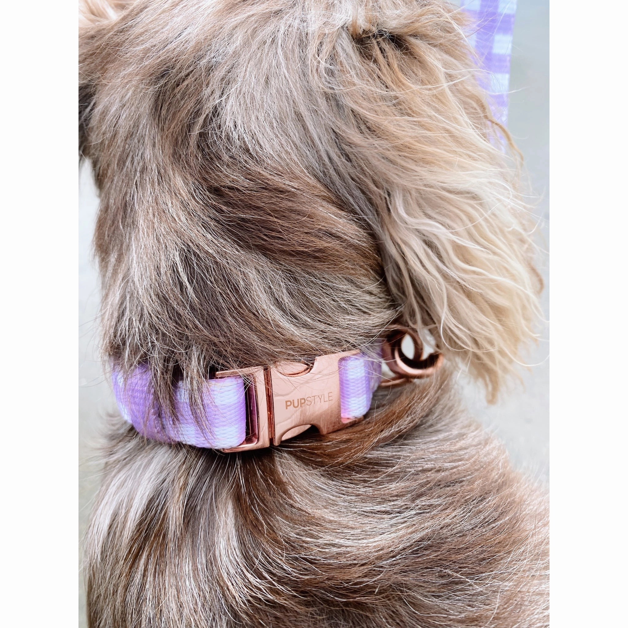 Pupstyle Suburban Berry Milkshake Dog Collar Extra Small