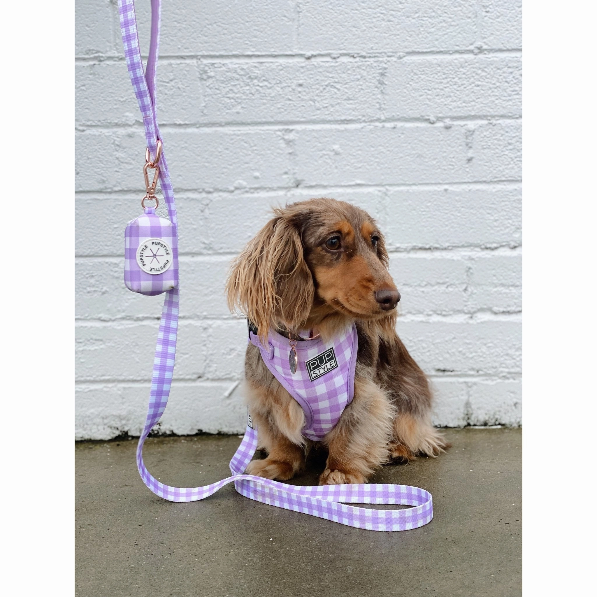 Pupstyle Suburban Berry Milkshake Dog Lead