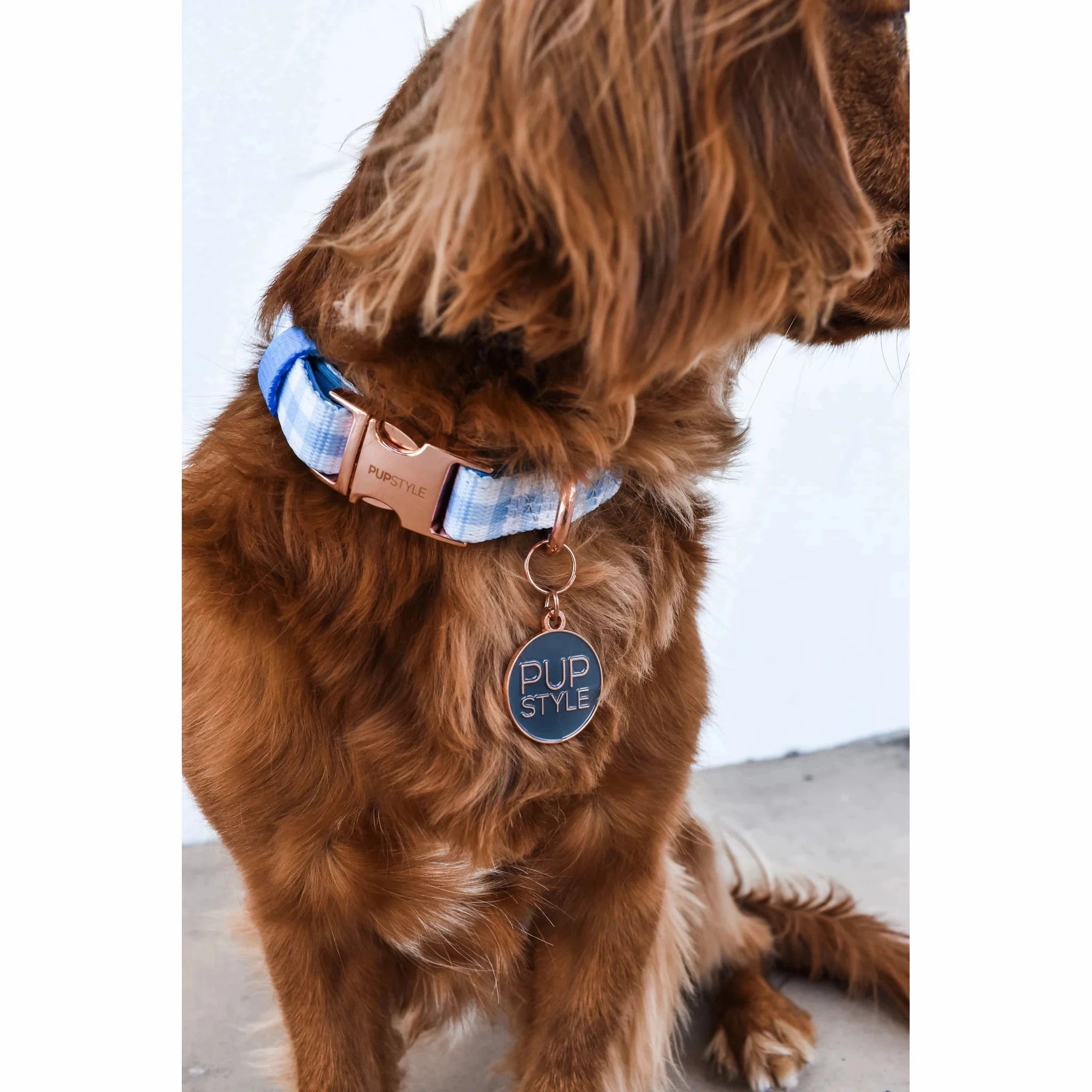 Pupstyle Suburban Collection Blueberry Muffin Dog Collar Large