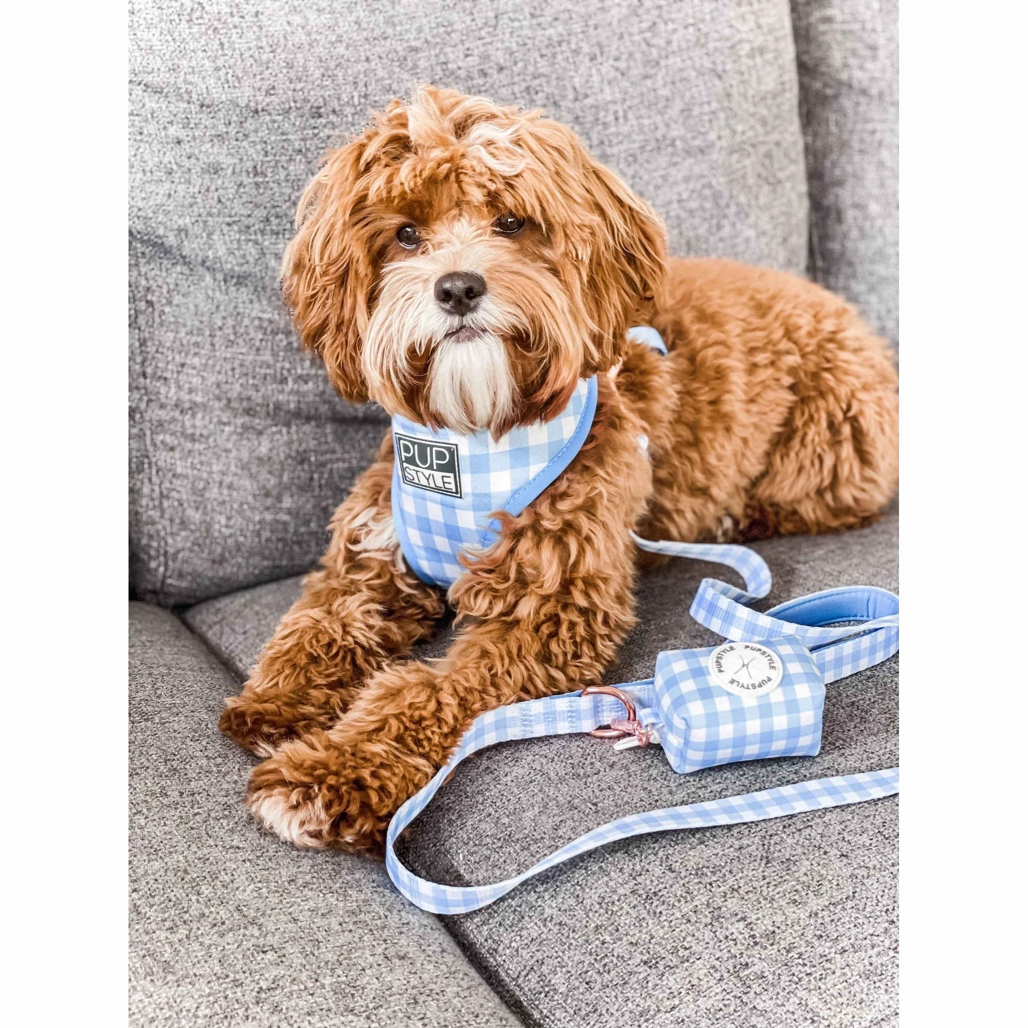Pupstyle Suburban Collection Blueberry Muffin Dog Harness Extra Small