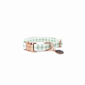 Pupstyle Suburban Collection Sweet Apple Dog Collar Medium