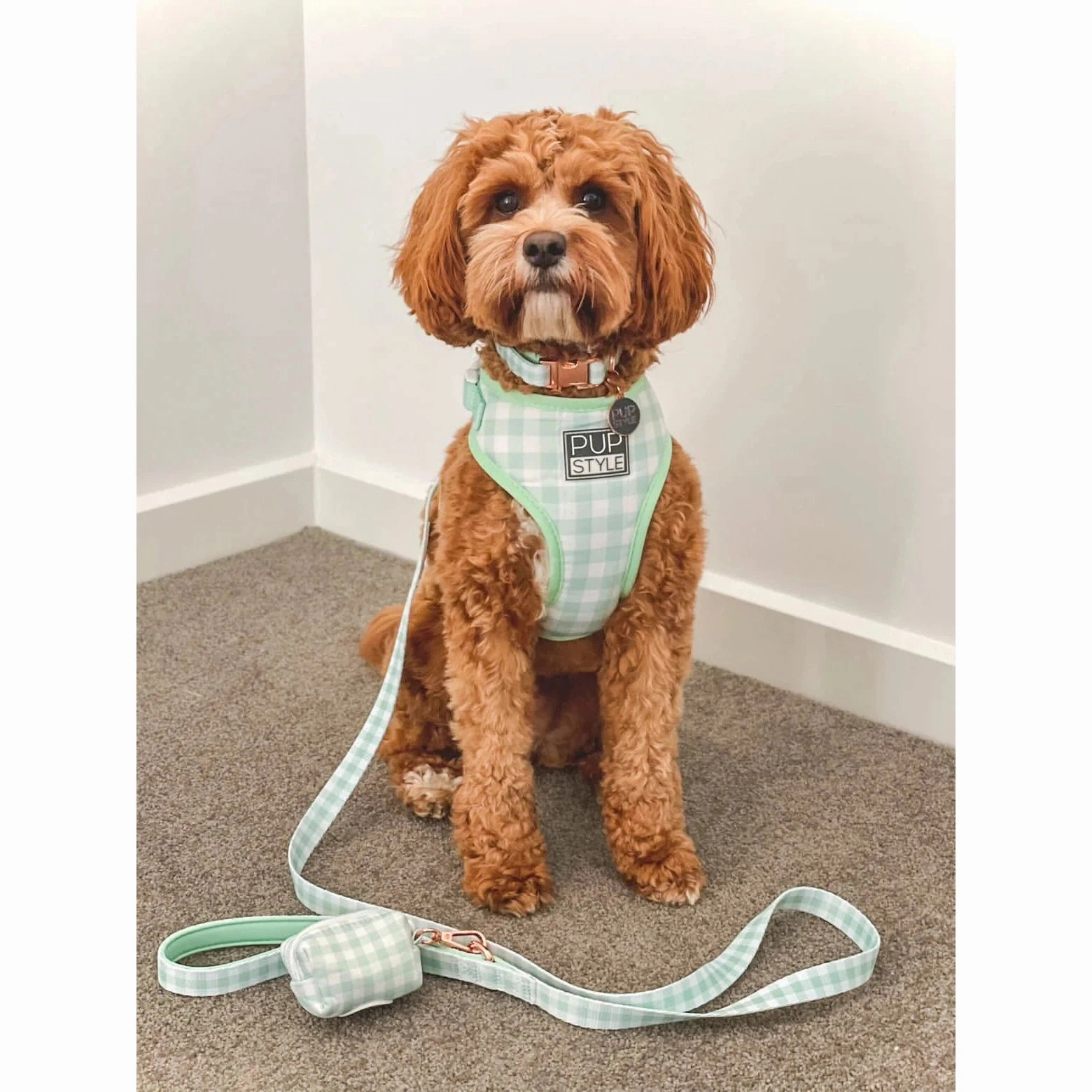 Pupstyle Suburban Collection Sweet Apple Dog Harness Extra Large