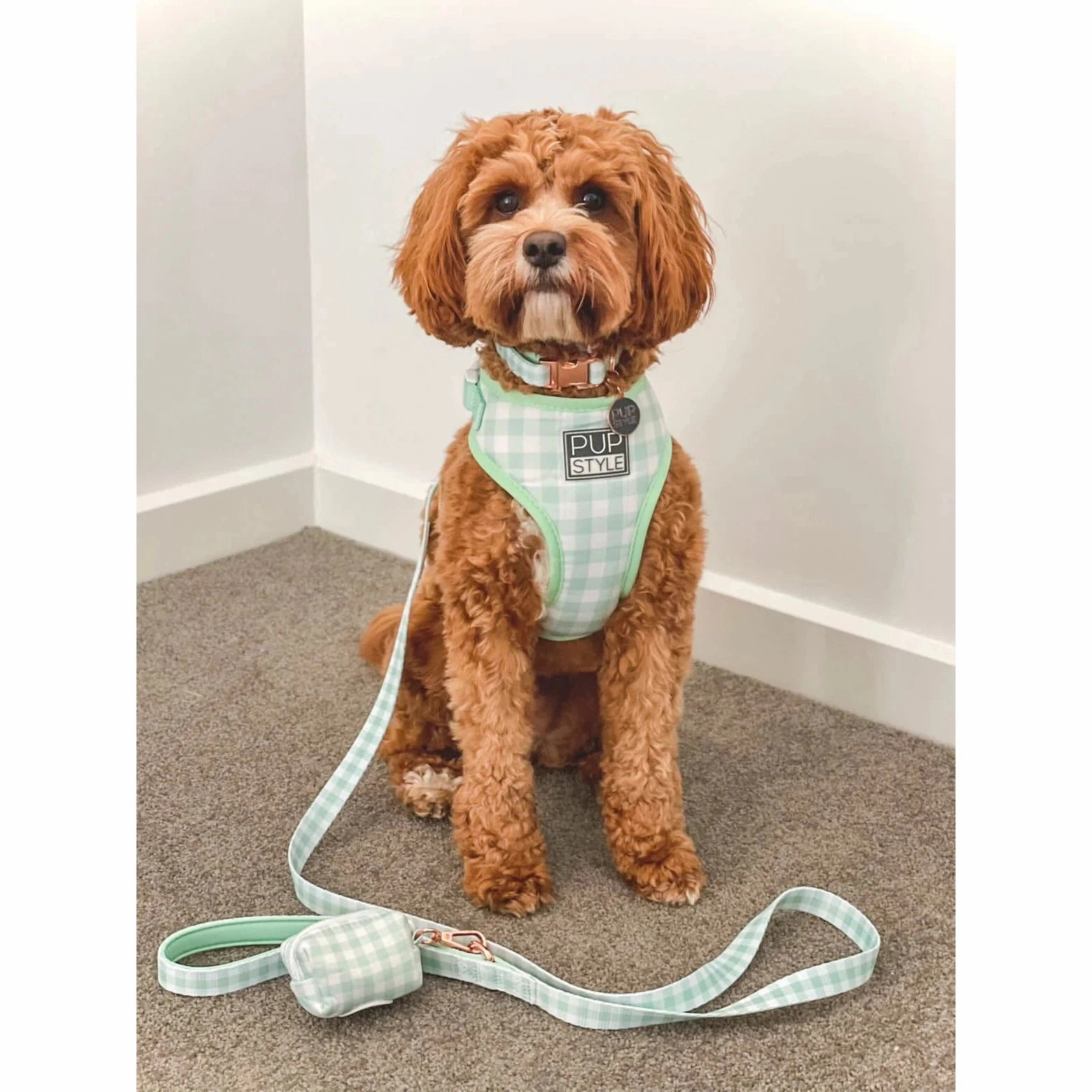 Pupstyle Suburban Collection Sweet Apple Dog Harness Medium