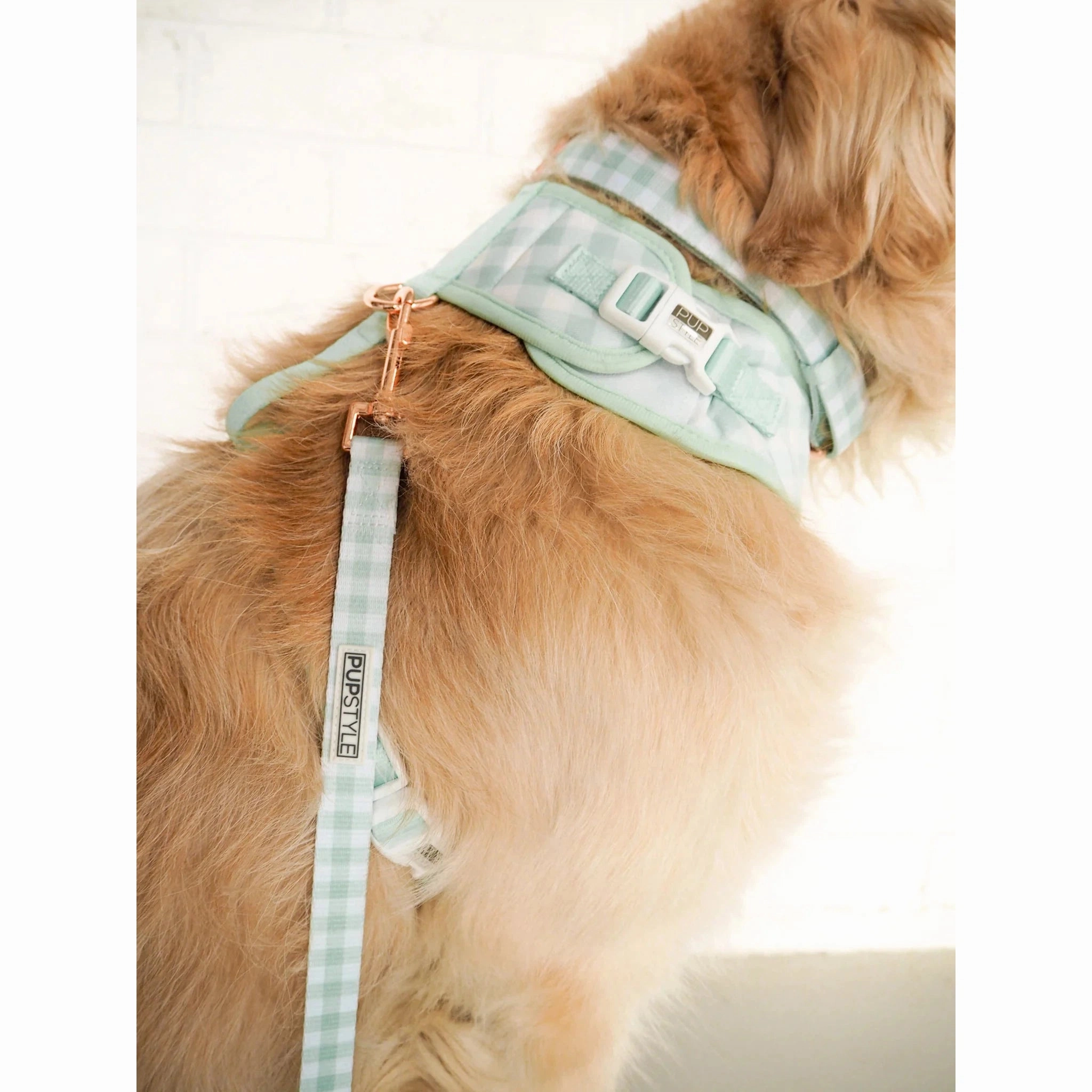 Pupstyle Suburban Collection Sweet Apple Dog Lead