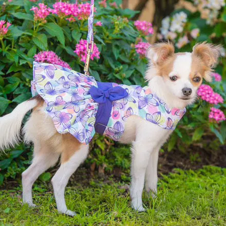 Purple Butterfly Dog Harness Dress with Matching Leash