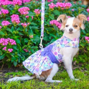 Purple Butterfly Dog Harness Dress with Matching Leash