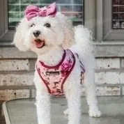 "The Maggie" Reversible Harness