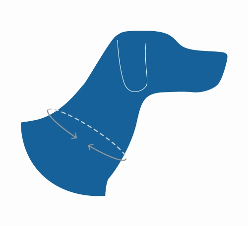 RC Pets Clip Collar for Dogs in Gemstone Pattern