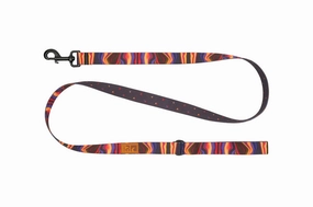 RC Pets Eco Leash for Dogs in Cosmic Aura and Dapple Patterns