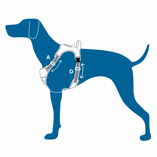 RC Pets Momentum Control Harness for Dogs in Purple